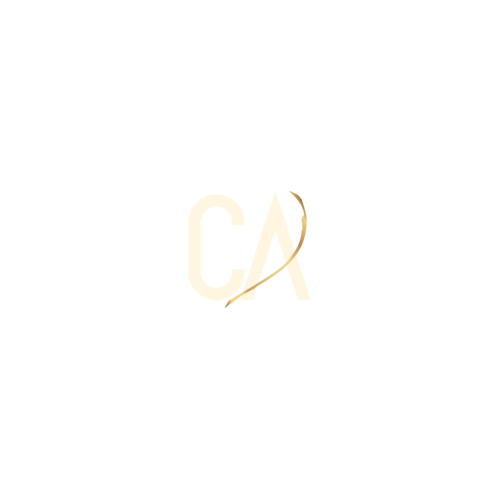 Catalin Amariutei Logo 2
